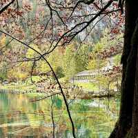 Blausee: Switzerland’s Hidden Blue Jewel in an Emerald Forest