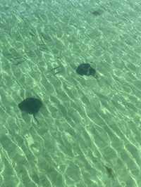 busselton jetty