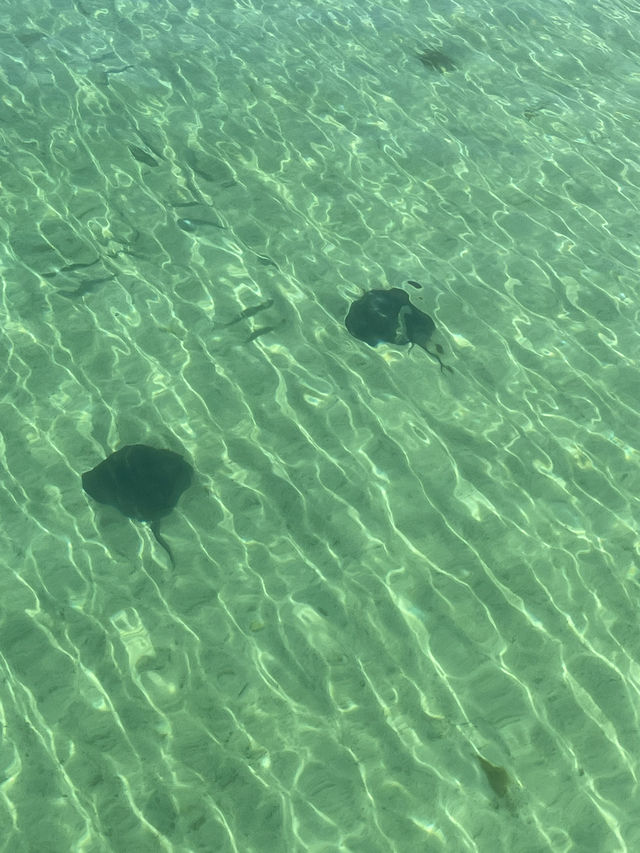 busselton jetty