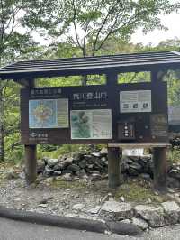 屋久島世界遺産トレッキング