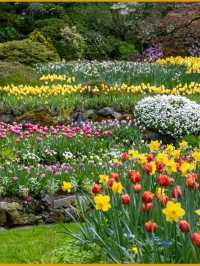 Butchart Gardens – A Garden That Stays in Your Heart