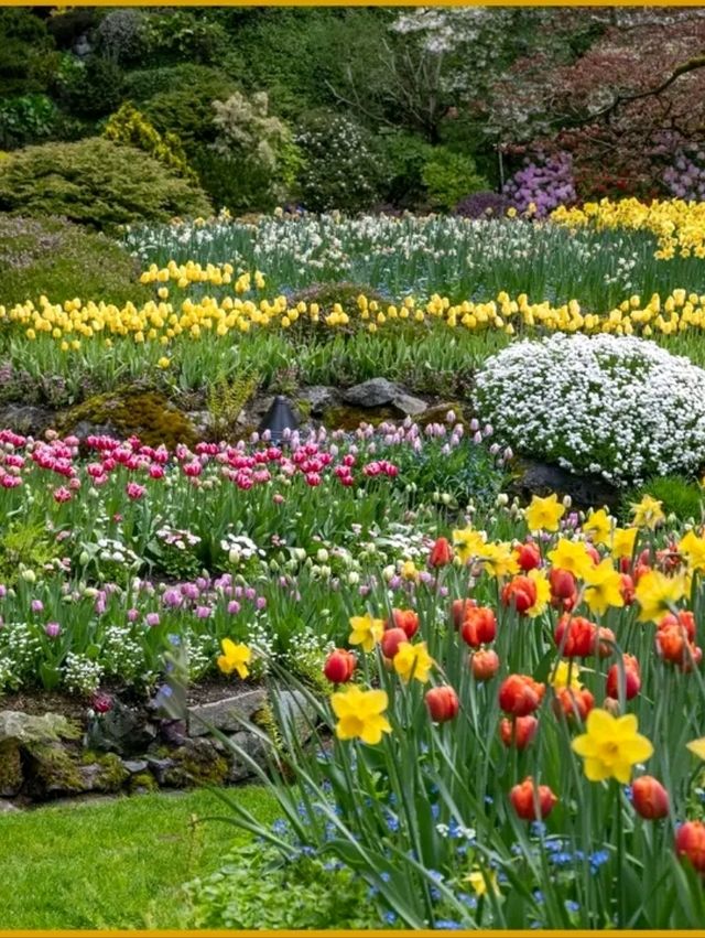 Butchart Gardens – A Garden That Stays in Your Heart