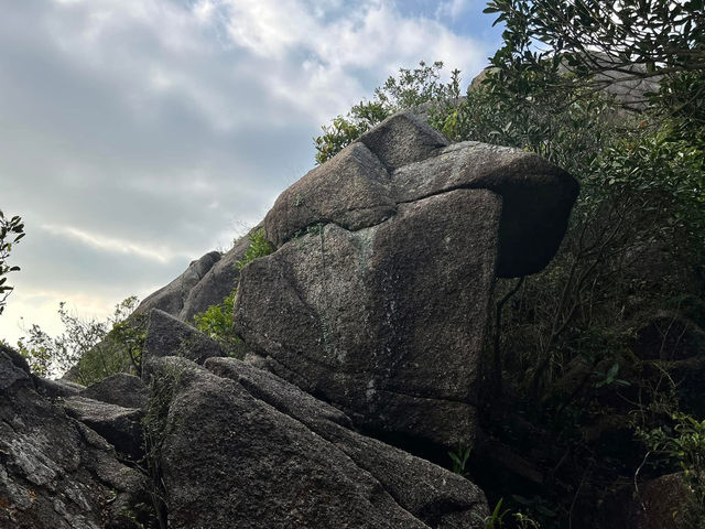 🗺️**探索獅子山頂**🗺️