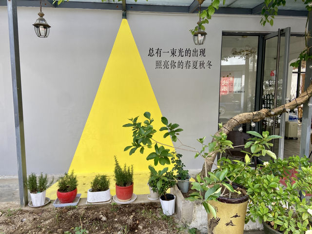 ✨🏡深圳大鵬溫馨小清新🌱民宿入住體驗