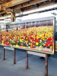 A PEACEFUL SPRING GETAWAY IN THE EASTERN KANTO REGION