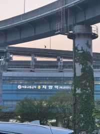 뚝섬 한강공원 완벽 가이드