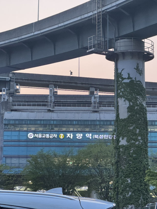 뚝섬 한강공원 완벽 가이드