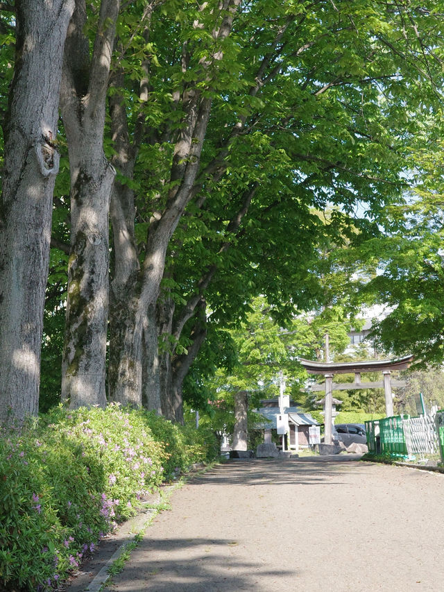 📍 櫻山神社/岩手