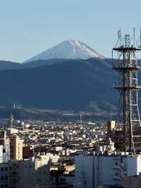 A Peaceful Walk Around Kofu Castle Ruins & Maizuru Park