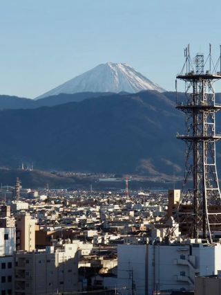 A Peaceful Walk Around Kofu Castle Ruins & Maizuru Park