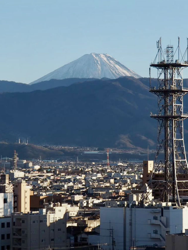 A Peaceful Walk Around Kofu Castle Ruins & Maizuru Park