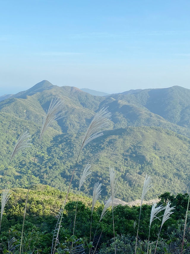 香港｜去嶂上營地吃一碗豆腐花🏕️