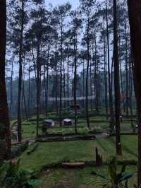 Lapinea Cafe & Resto