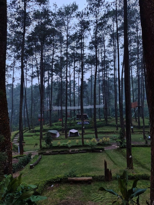 Lapinea Cafe & Resto