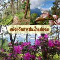 ชมธรรมชาติ หน่วยจัดการต้นน้ำแม่อวม 
