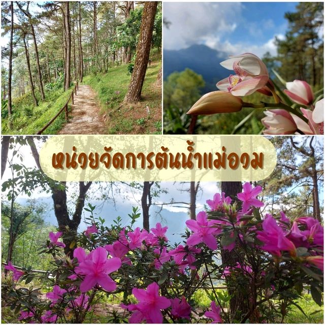 ชมธรรมชาติ หน่วยจัดการต้นน้ำแม่อวม 