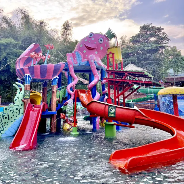 【Bali】Water Park in Bali Safari & Marine Park