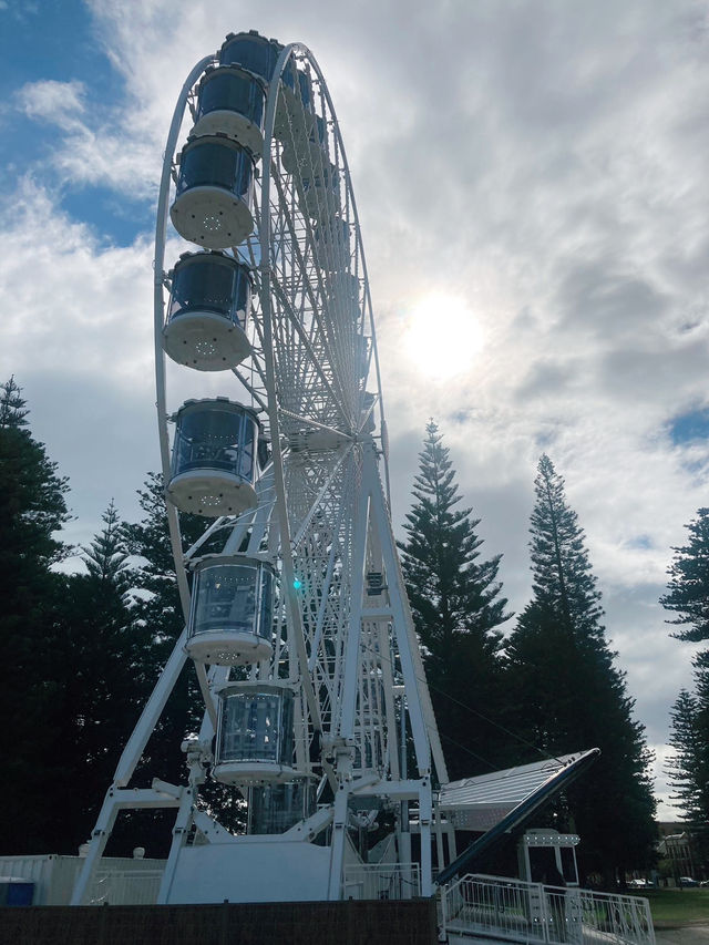 ชมวิวเพลินๆที่ Tourist Wheel