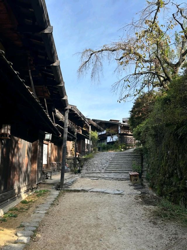 Peace, Pines & Edo Vibes