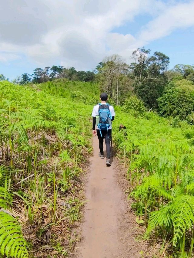 เดินป่าหน้าฝน อุทยานแห่งชาติภูสอยดาว อุตรดิตถ์