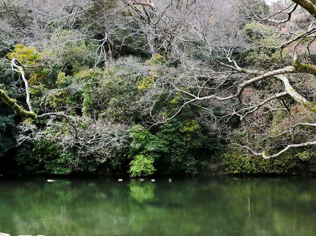 【🇯🇵高松】四季の美しさを堪能できる歴史ある庭園「栗林公園」