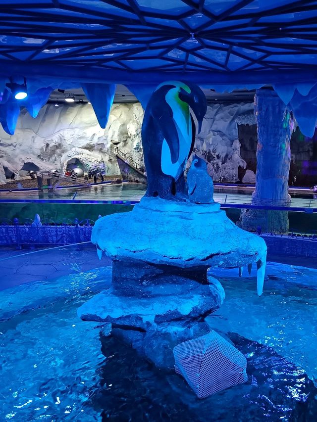Sea Shell Aquarium Phu Quoc