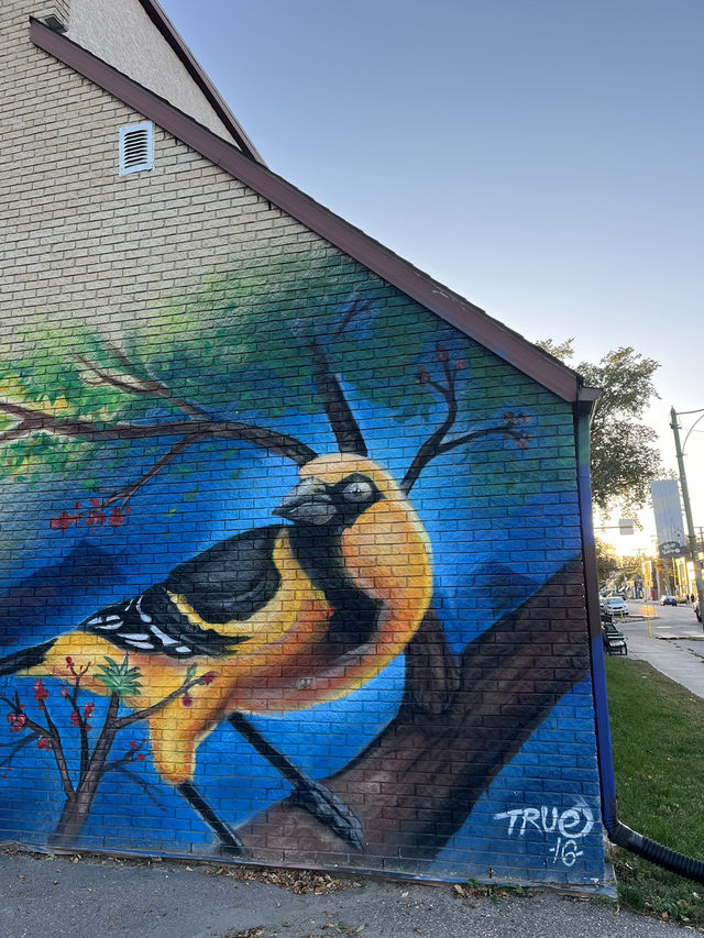 Albert Street 13th Ave—My favorite street in Canada