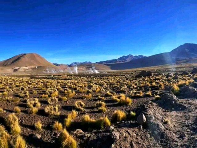 El Tatio Geysers – Sunrise Magic at Earth’s Rooftop