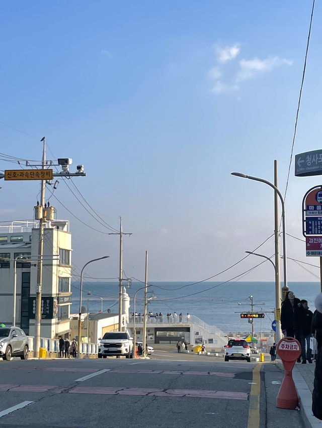 🌤️ 부산 바다와 함께하는 하루, 감성 충전 코스