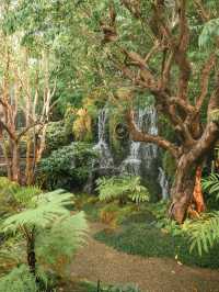 ชมคาเฟ่ เชียงใหม่  (CHOM CAFE AND RESTAURANT)