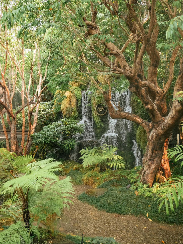 ชมคาเฟ่ เชียงใหม่  (CHOM CAFE AND RESTAURANT)
