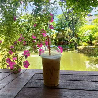 Calm Café, Saraburi