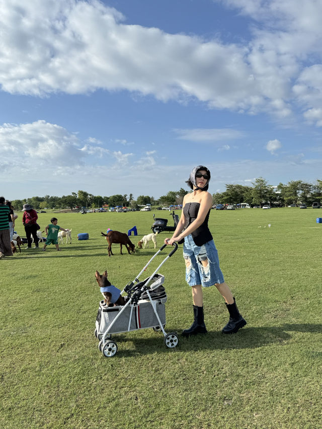 นิวซีแลนด์เมืองไทย ที่บ้านท่าฤทธิ์ สระบุรี