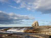 Where Sea Meets Spectacle – The Drama of Bicheno Blowhole