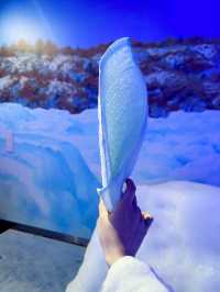 2023年3月❄️追趕日本道東極地流冰之旅❄️上集 - 流冰漫步