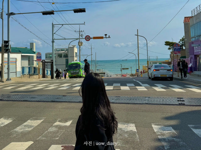 해운대 바다 야외 데이트, 잊지 못할 추억 💙🌊