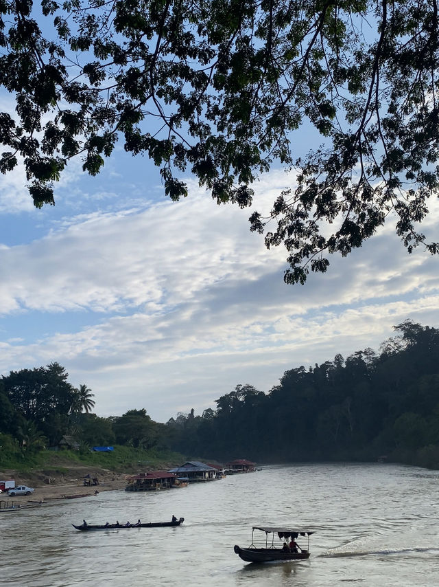 River Breezes & Jungle Vibes: A Weekend in Taman Negara Pahang