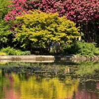 Bodnant Garden | A Secret Garden with a 4.8-Star Google Rating! 🌸🌳