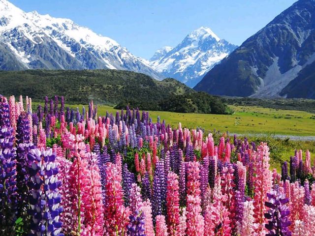 Aoraki / Mount Cook National Park