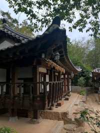 Forest Paths, Temple Vibes, and Total Peace Mode**