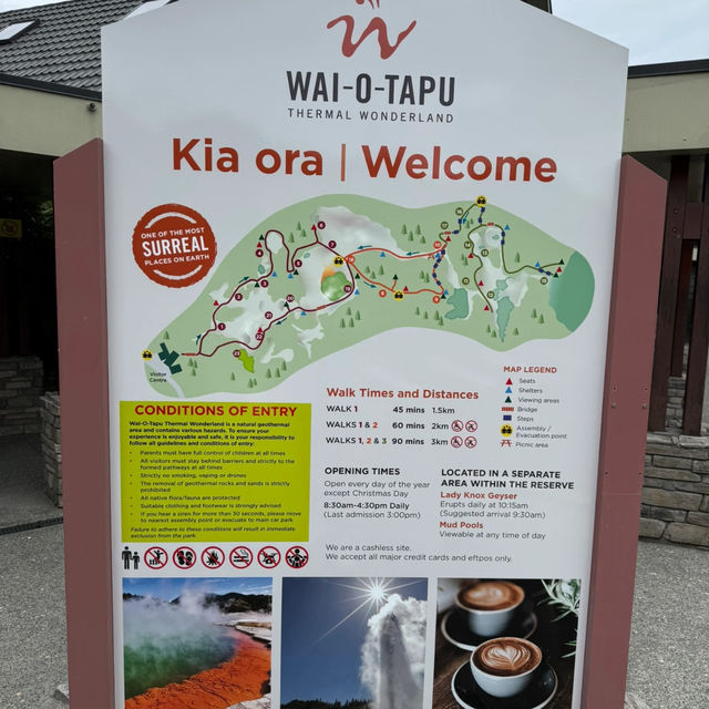 North Island's Most Unique Aroma is Actually a Top Attraction! 👃💎