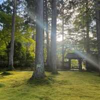 Osaka & Kyoto Deep Dive: Must-Visit Hidden Gems! 💎🇯🇵