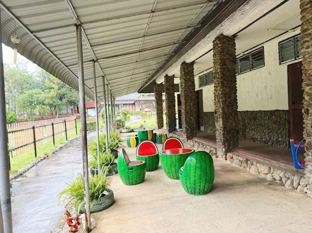 น้ำพุร้อนป่าตึง แหล่งท่องเที่ยวธรรมชาติในแม่จัน