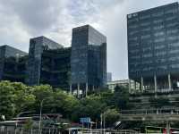 🌏 동남아 여행, 어디로 갈까? 방콕, 싱가포르, 세부 비교 가이드