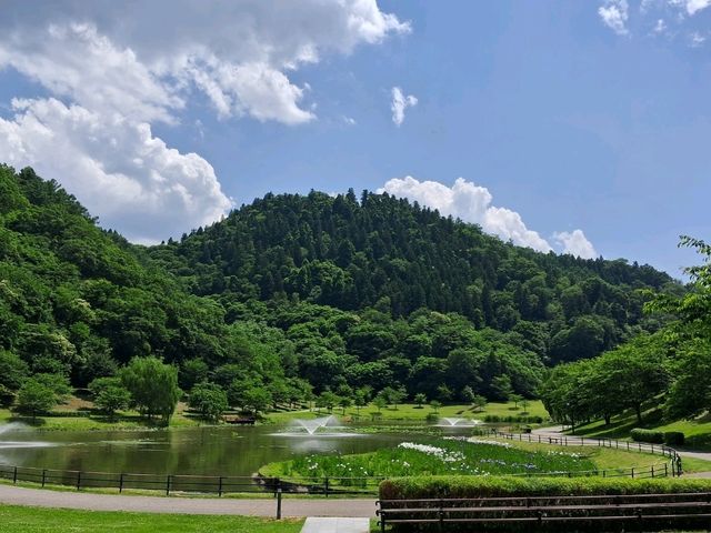 【山形】天童の景色を楽しめる天童公園