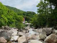 Asakechaya Camping 
