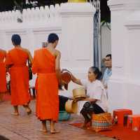 ตักบาตรเช้าหลวงพระบาง