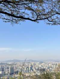Ryan holiday in busan