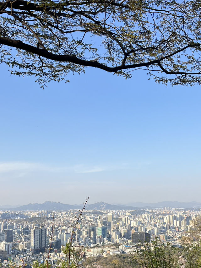 Ryan holiday in busan