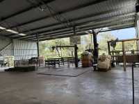 Caversham Wildlife Park